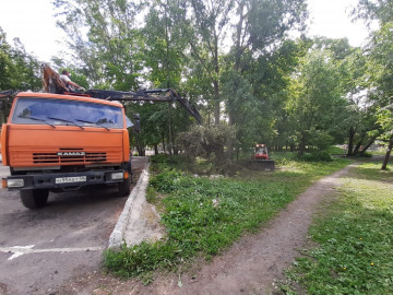 Вырубку и вывоз растительных остатков