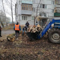 Спил деревьев, вывоз мусора на Экспериментальной д.12, 16.🚜🧹