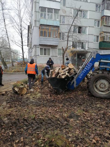 Спил деревьев, вывоз мусора на Экспериментальной д.12, 16.🚜🧹